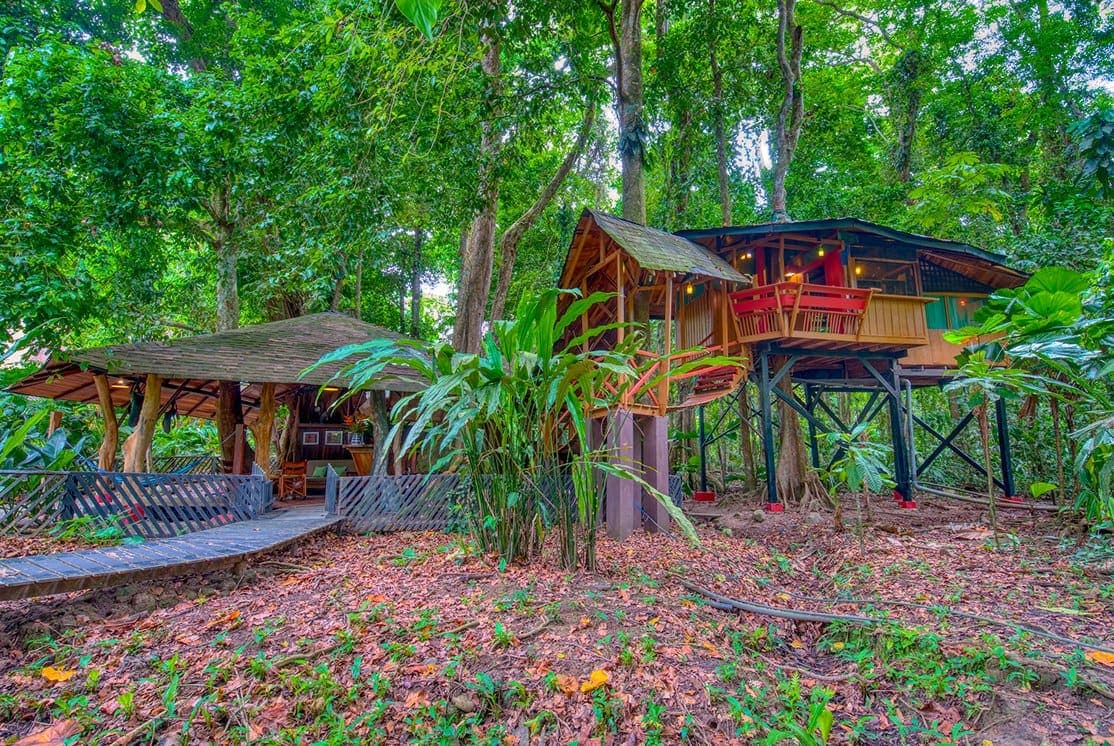 The Tree House and its rancho seen across the forest floor — the estate's rainforest corner