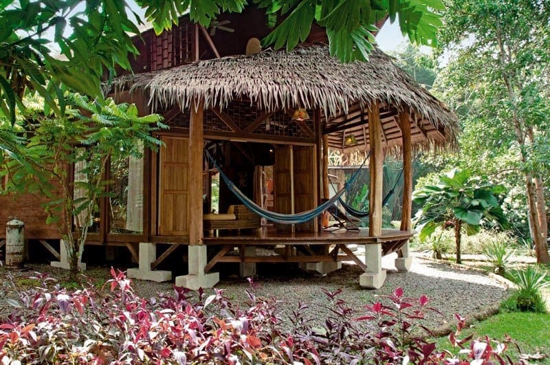 A thatched-roof house tucked into the botanical garden between the palms