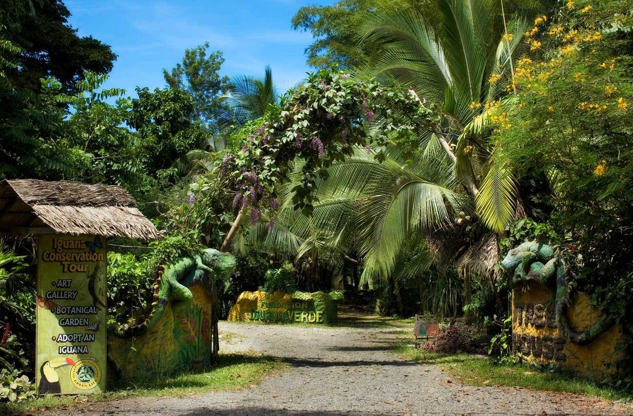 Entrance to the Iguanaverde Foundation's iguana-conservation tour, guarded by its sculpted green iguanas