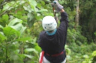 Canopy zip-line platform in the Caribbean rainforest, partner-run with Nativo Adventures