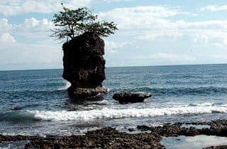 The lone tree-topped rock islet off Manzanillo beach, inside the Gandoca-Manzanillo Wildlife Refuge
