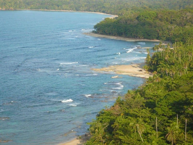 Aerial view over the Punta Uva headland — reef-fringed coves and unbroken palm forest along the coast between Cahuita and the Gandoca-Manzanillo refuge