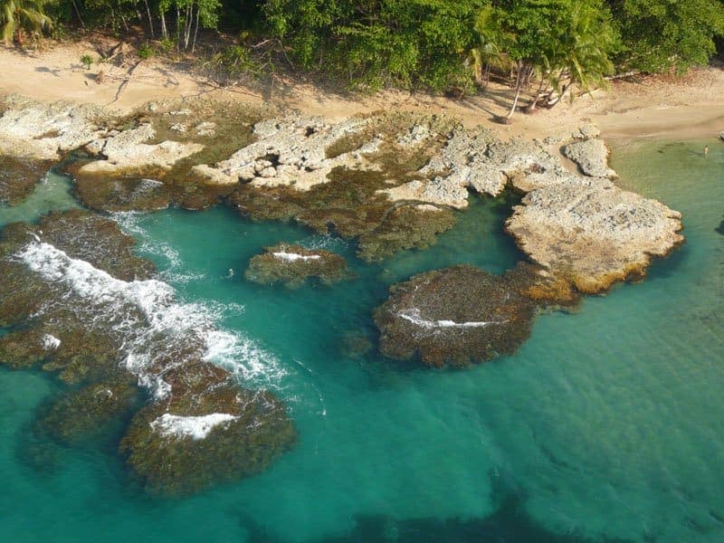 Coral heads in the turquoise shallows just off the sand — the fringing reef that runs this coast from Cahuita south to Manzanillo