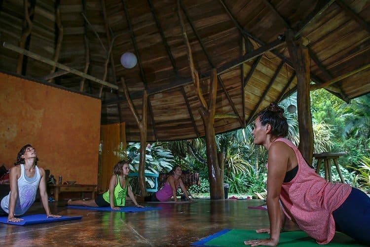 Pamela leading a yoga class at the shala, sun filtering through the canopy
