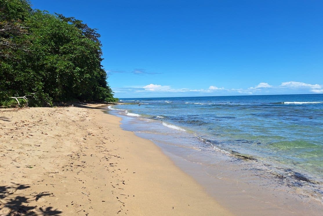 Empty Punta Uva beach — 300 metres of private frontage through the estate gardens