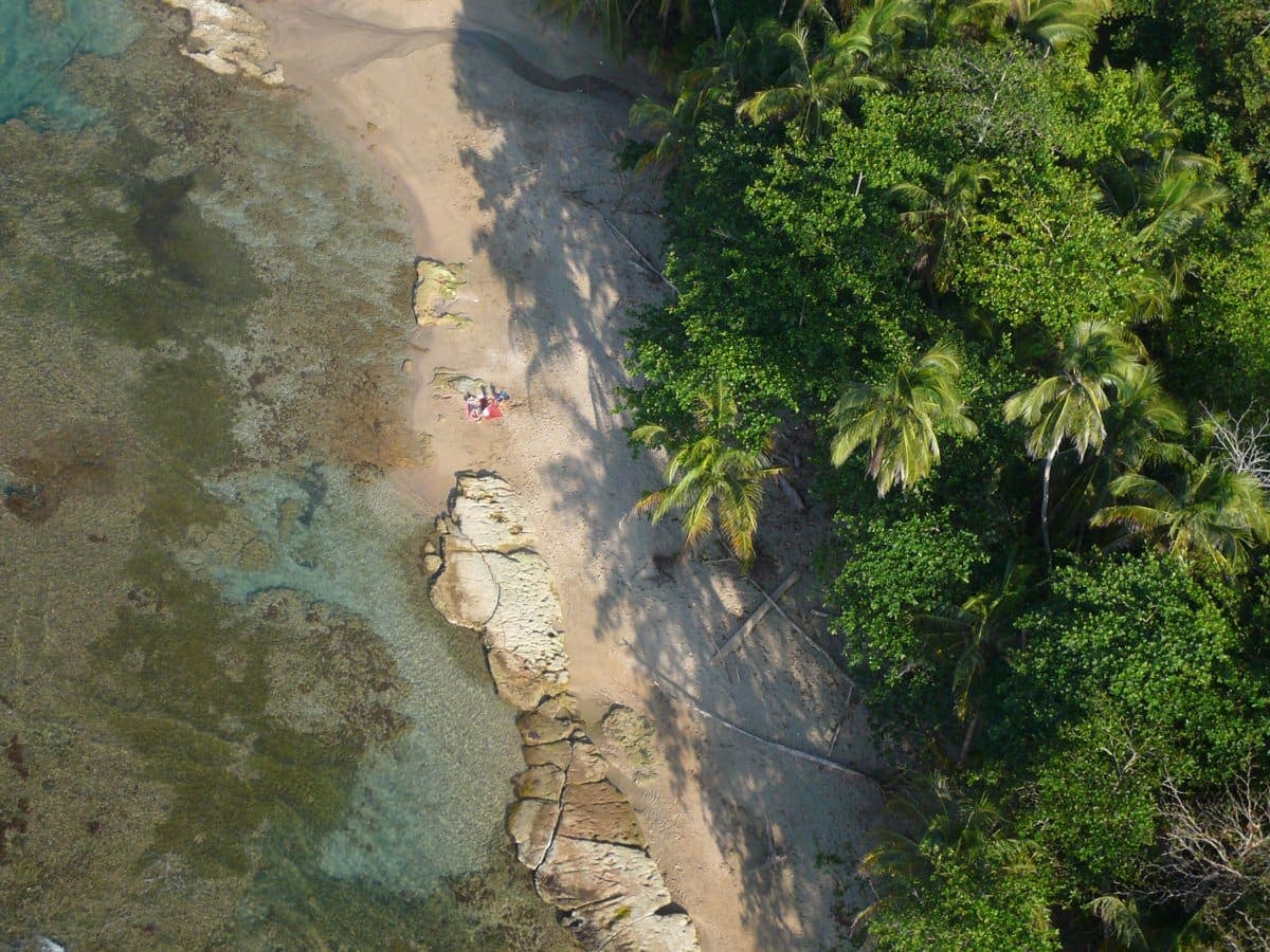 Aerial view of Punta Uva beach and the reef south of the lodge — palm canopy meeting turquoise Caribbean shallows