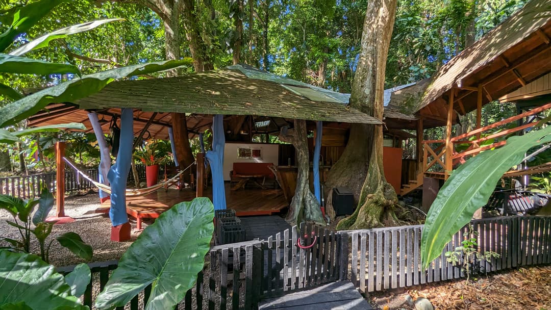 The Tree House's ground-level rancho with its green roof and the massive Sangrillo tree it's built around
