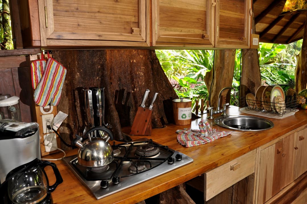 Compact kitchen at the Tree House with a kettle on the gas stove and the Sangrillo trunk forming the back wall