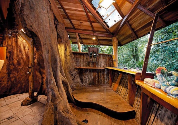 Bathroom built around the Sangrillo trunk, with skylight, tiled floor and wooden walls