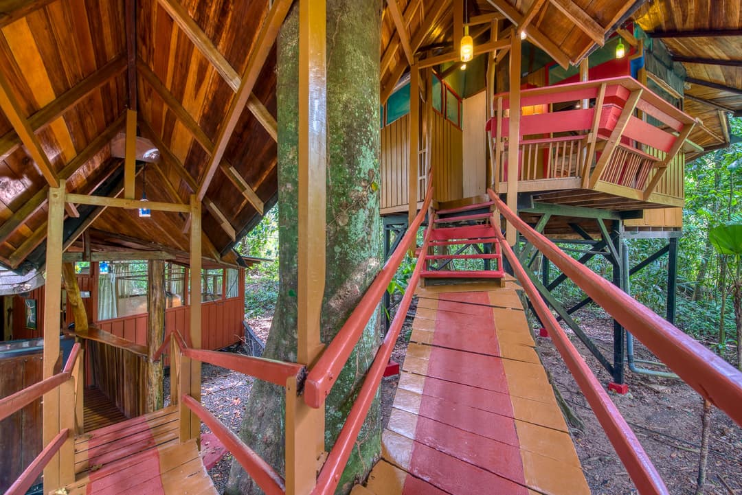 The wooden suspension bridge climbing from the ground up to the elevated Tree House